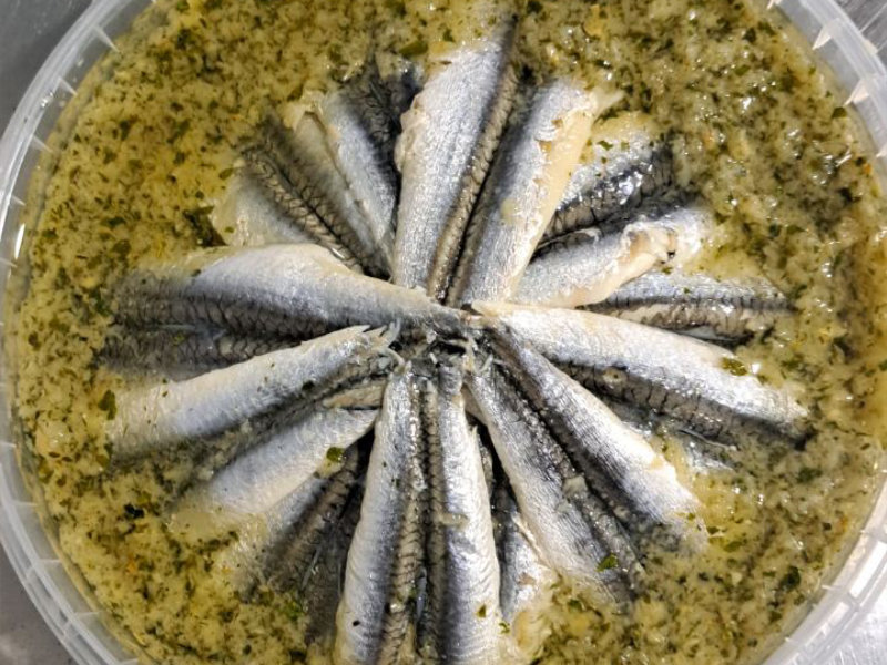 anchovy2