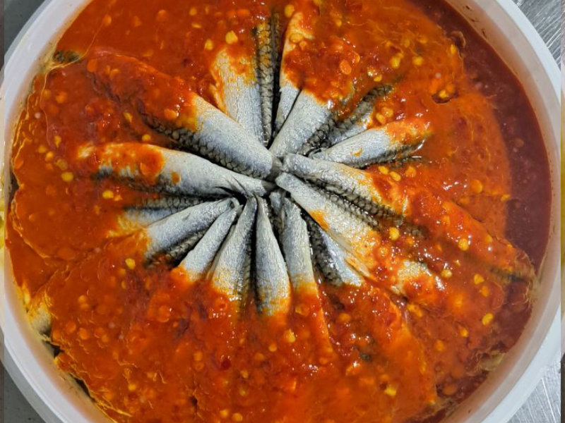 anchovy4